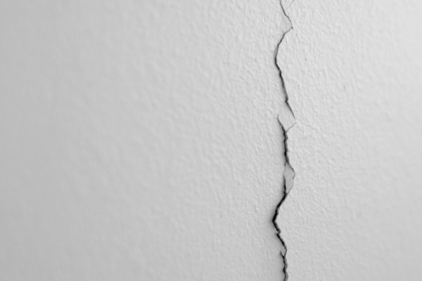 Mice can fit through holes no larger than a dime.