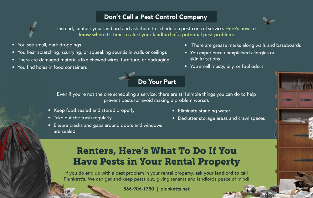 Plunketts Rental Info R2
