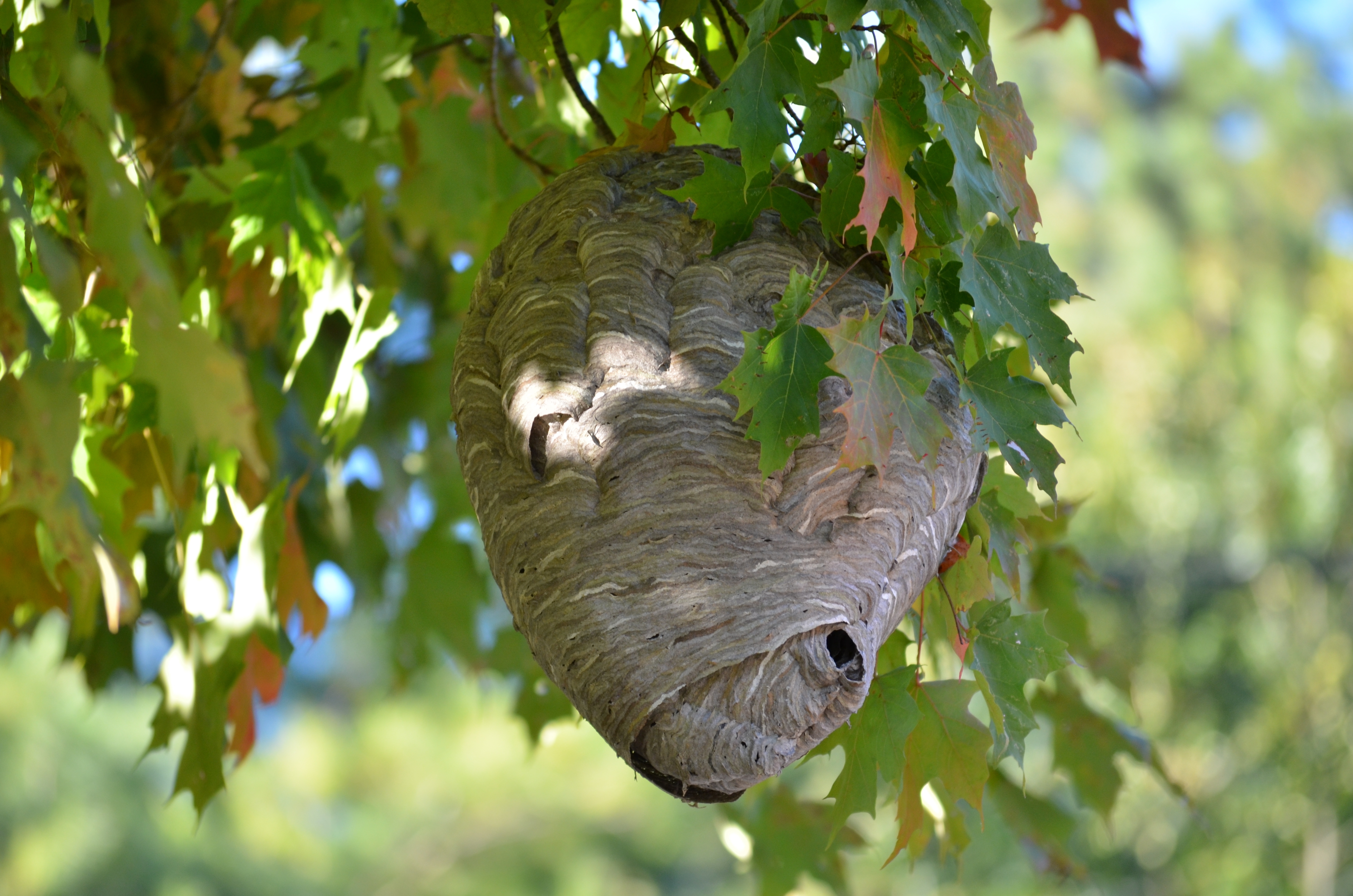 Shutterstock 2438048197 (1)