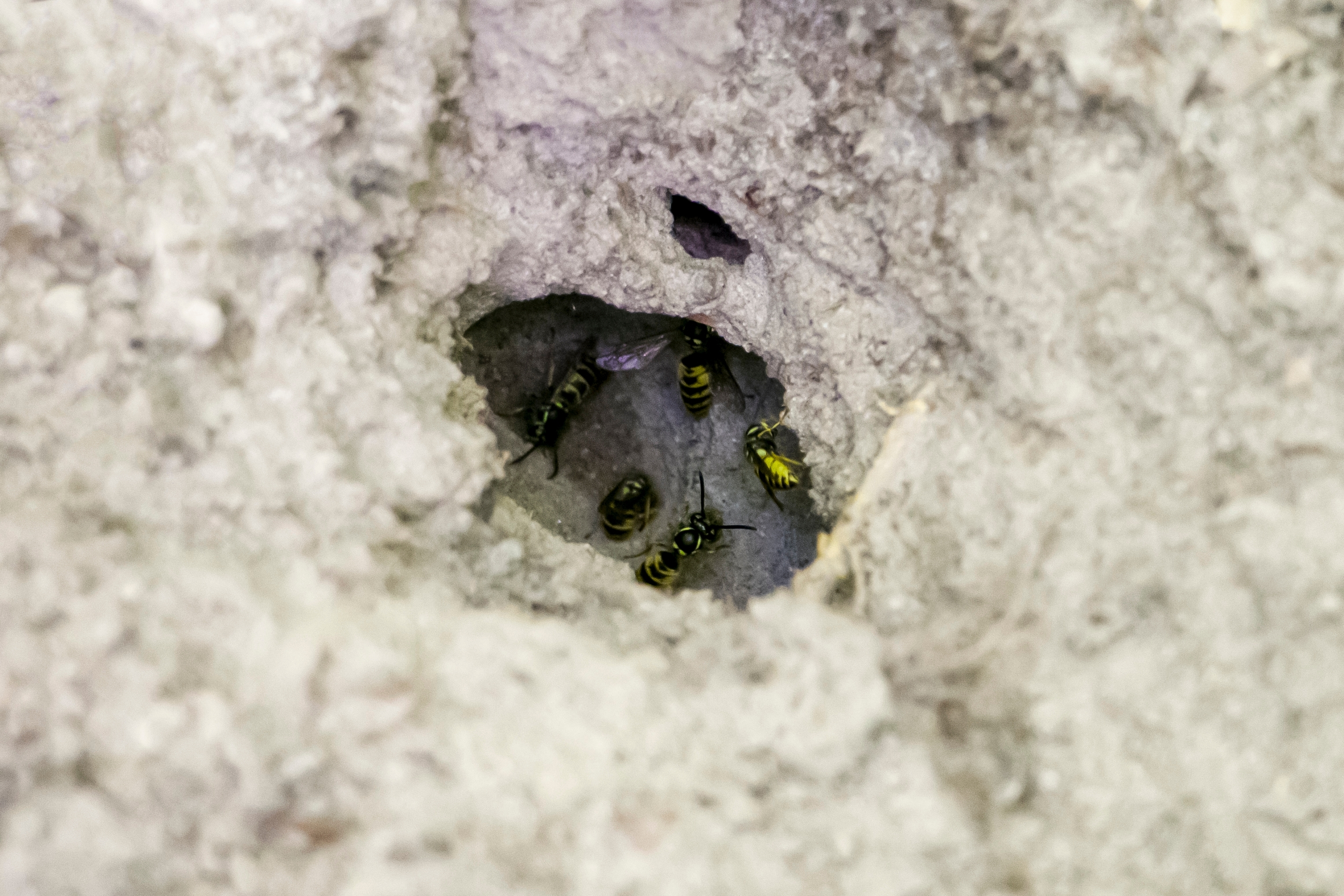 Shutterstock 2698154641 (1)