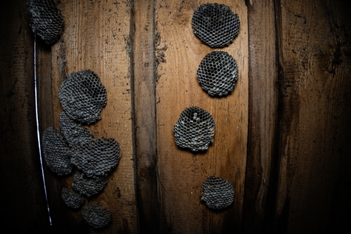 Shutterstock 2621202485 (1)