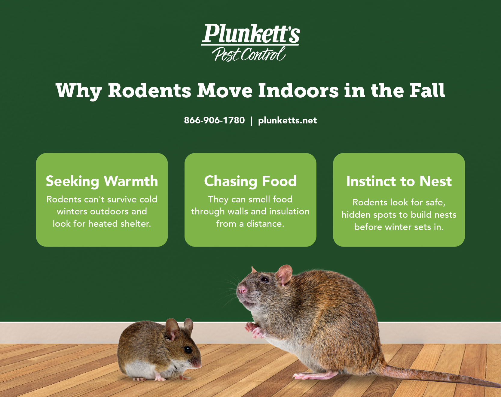 Plunketts Rodents Indoors Info R1